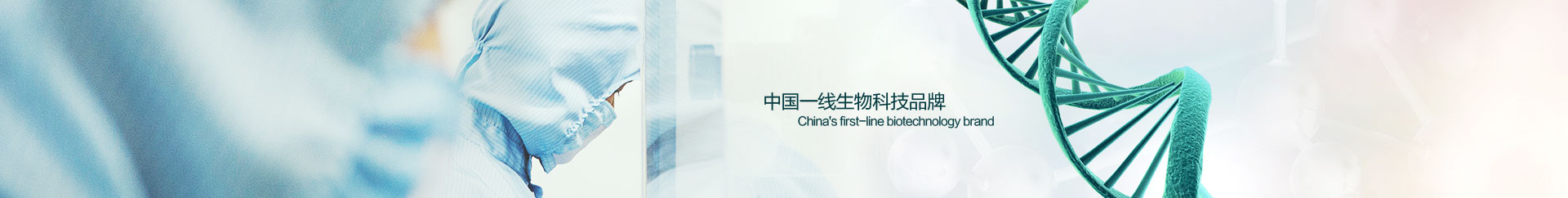 相助同伴Banner